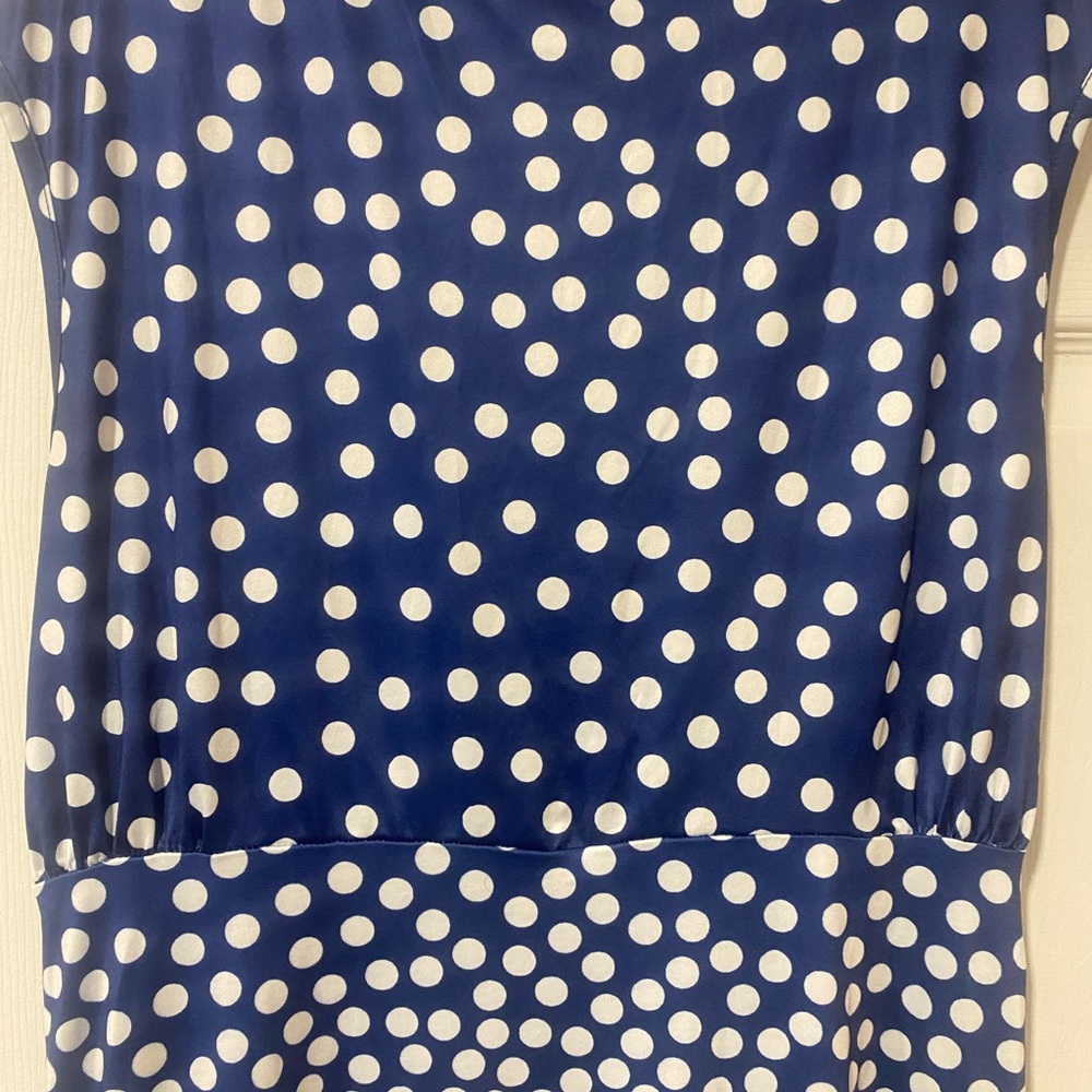Navy Blue Polka Dot Dress - Picture 4 of 5